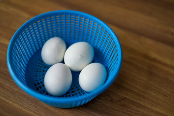 4 white chicken eggs in blue plastic basket on wood floor. 1 of 4 Chicken is ready to break out the egg shell from inside.
