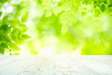 Fresh green leaves nature with bokeh on empty wooden table background for product display template and copy space using as background natural greenery landscape or wallpaper