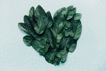 Obraz premium green heart on a light background top view