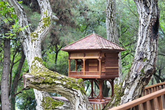 Miniature tree house