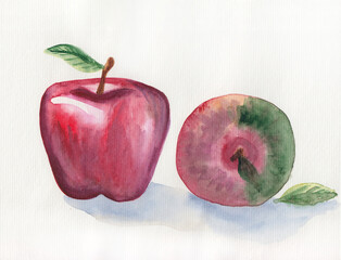Watercolor hand drawn illustration with two juicy apples. Vibrant colorful red & green fruits for menu, food hall decorations, grocery poster. Creative artwork on paper. Food painting in sketch style.
