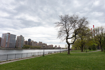 Queensbridge Park with Green Grass along the East River with the Roosevelt Island Skyline in New York City	