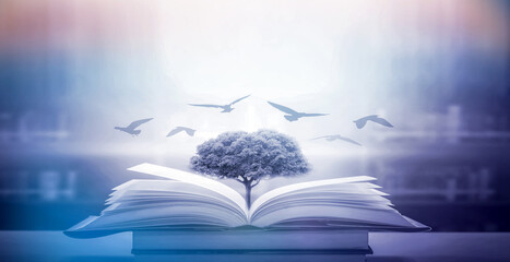 The concept of education by planting knowledge trees and birds flying to the future to open old...