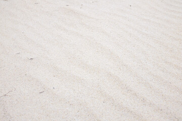 Fototapeta na wymiar Gentle sand texture. Pure white sand.
