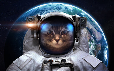 Cat astronaut and Earth