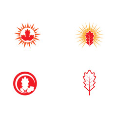 Set Maple leaf vector illustration