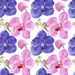 Orchid watercolor illustrations isolated on white background. Seamless pattern with colorful flowes.