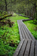 Fototapeta premium Grejsdalen footpath in the wilderness, Denmark