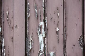Closed up view of old wooden shutters cracked peeling paint detail. Background
