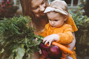 Mother and daughter child with organic vegetables healthy eating lifestyle vegan food homegrown beet and carrot local farming grocery shopping agriculture concept - obrazy, fototapety, plakaty