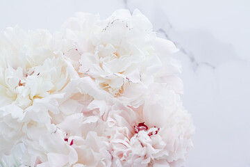 Bouquet of peony flowers as luxury floral background, wedding decoration and event branding design