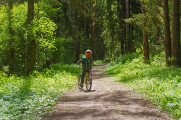 A blond European boy rides a Bicycle in the woods in spring or summer. The child went on a bike ride.