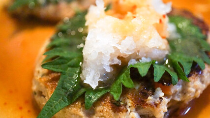 おからハンバーグのおろし大根のせ