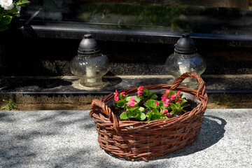 basket with begonia flowers on a grave in a cemetery