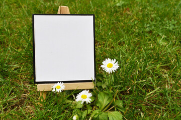 mock up empty blank canvas on wooden easel placed on green grass and daisies background, nature mock up design