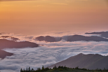 Naklejka premium Magical sunset and sea of clouds. Landscape panorama taken from Gito Plateau, Kackar / Kaçkar mountains, Black Sea / Karadeniz region of Turkey. 