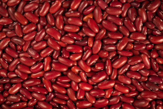 Red kidney beans background