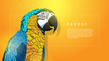 parrot bird web banner template with orange background © imagiel