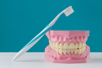Dental chew 