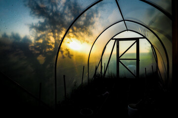 A small greenhouse on a beautiful summer evening at sunset