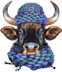 Watercolor illustration of black powerful bull in knitted blue hat with splashes