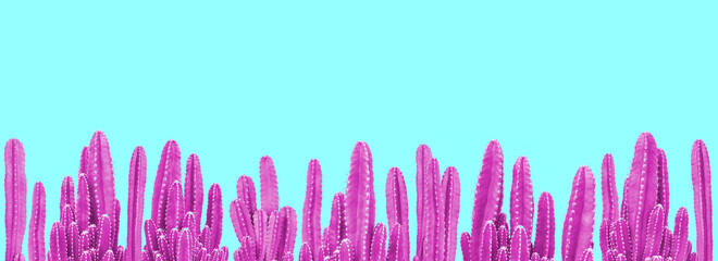 Blue cactus plants on pink background