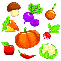 Set of different vegetables