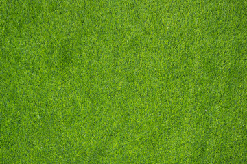 Top view of green grass field.