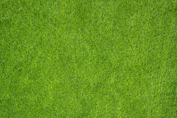 Top view of green grass field.