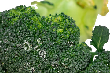 Fresh green broccoli with drops of water isolated on white background. Macro photography of organic food, selective focus