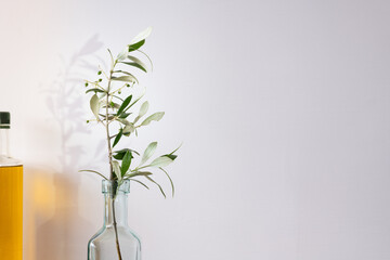 Olive tree branch and olive oil bottles on a white background