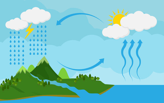 853 Best Water Cycle Diagram Images Stock Photos Vectors Adobe Stock