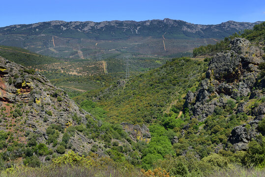 Estrecho de la Pena Amarilla, a fluvial defile produced by the embedding of the Jariguela stream in the strata Armorican Quartziete of the sierra Palomera, Significant geological locality, Spain