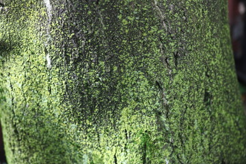 colorful houses in New York City west village manhattan
