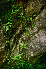 Hocking Hills State Park, Ohio, USA