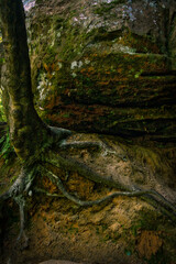 Hocking Hills State Park, Ohio, USA