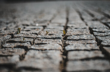 Obraz premium tire on asphalt