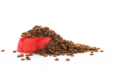 plastic bowl full with dry dog food isolated on white background. Top view grain pet food with copy space of text design. Above or Top view. food texture banner..