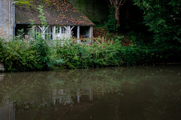 Tranquil Pond