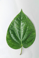Paan leaf With White Background,  betel leaf 