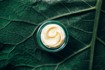 Texture of natural cosmetic cream for body care on a green leaf. Natural organic cosmetics from...