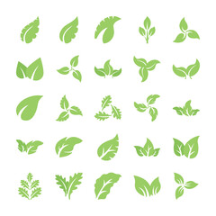 Leaf Icon Set 