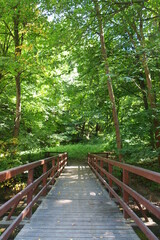 Obraz premium Bridge over Creek, Ojcow Park, Poland, Europe