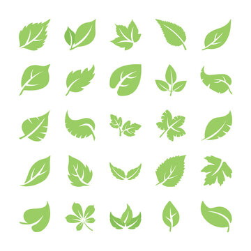 
Leaf Flat Icons 
