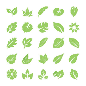 Leaf Flat Vector Icons 
