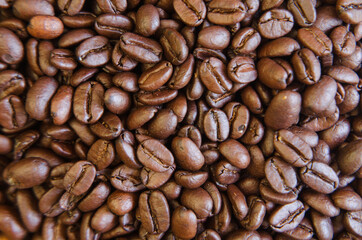 Coffee grains and pot fresh aroma