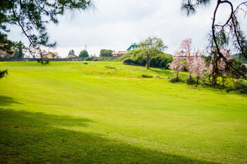 Famous 18 Hole Shillong Golf Course, situated in the East Khasi Hills district in Meghalaya, oldest natural golf course
