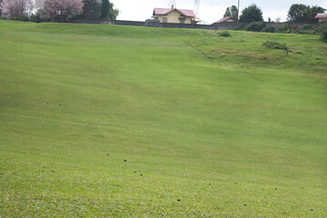 Famous 18 Hole Shillong Golf Course, situated in the East Khasi Hills district in Meghalaya, oldest natural golf course

