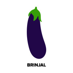 Vector illustration of brinjal