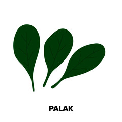 Vector illustration of Spinach / Palak